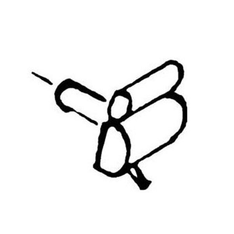 Scharfenberg coupling N