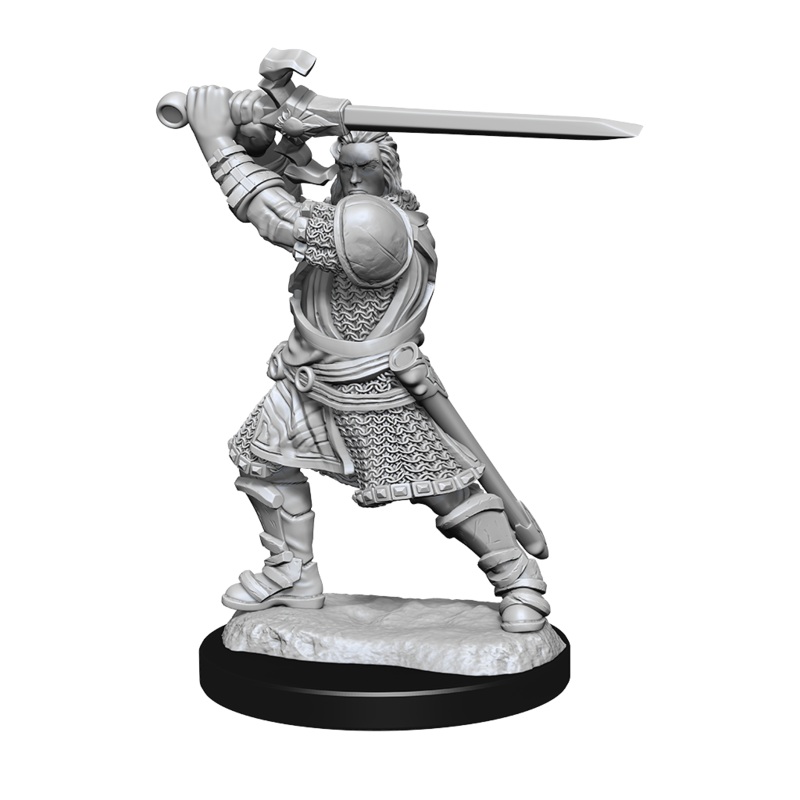D&D Unpainted Mini – Human Paladin – Male 90220