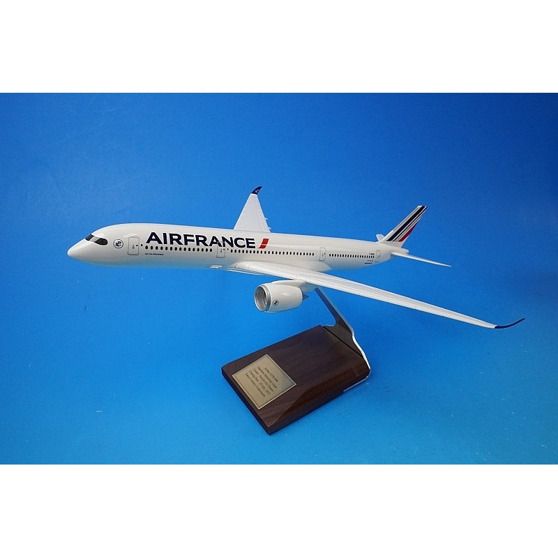1:200 A350-900 Air France F-HUVA Pacmin airplane model