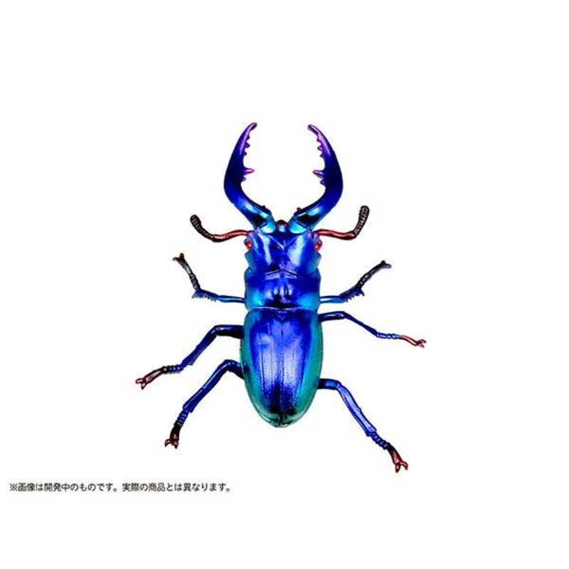DIG Puripura Dream Stag Beetle Sapphire Plastic Model