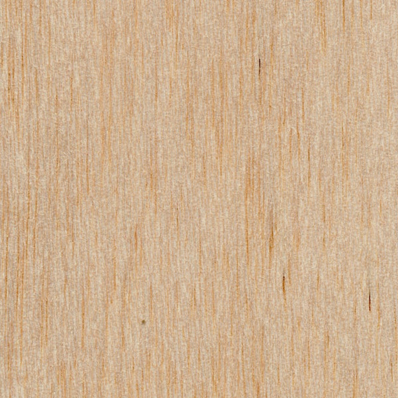 Basswood Block 2 x 4 x 12