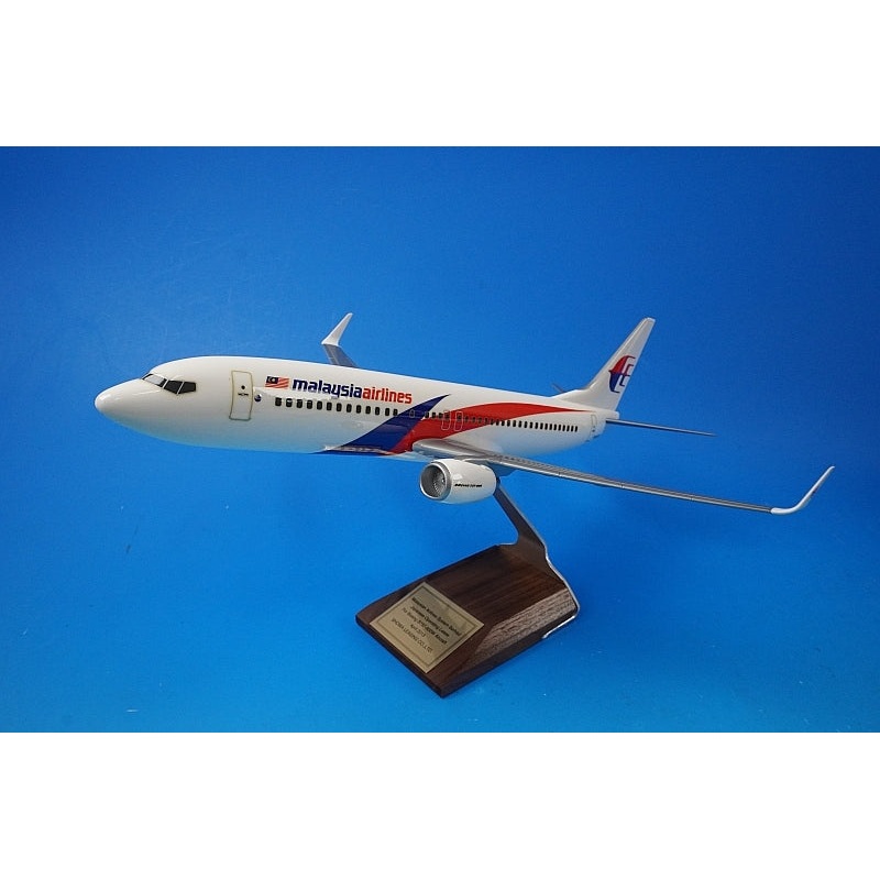 1:100 B737-800W Malaysia New Paint 9M-MSC PACMIN airplane model