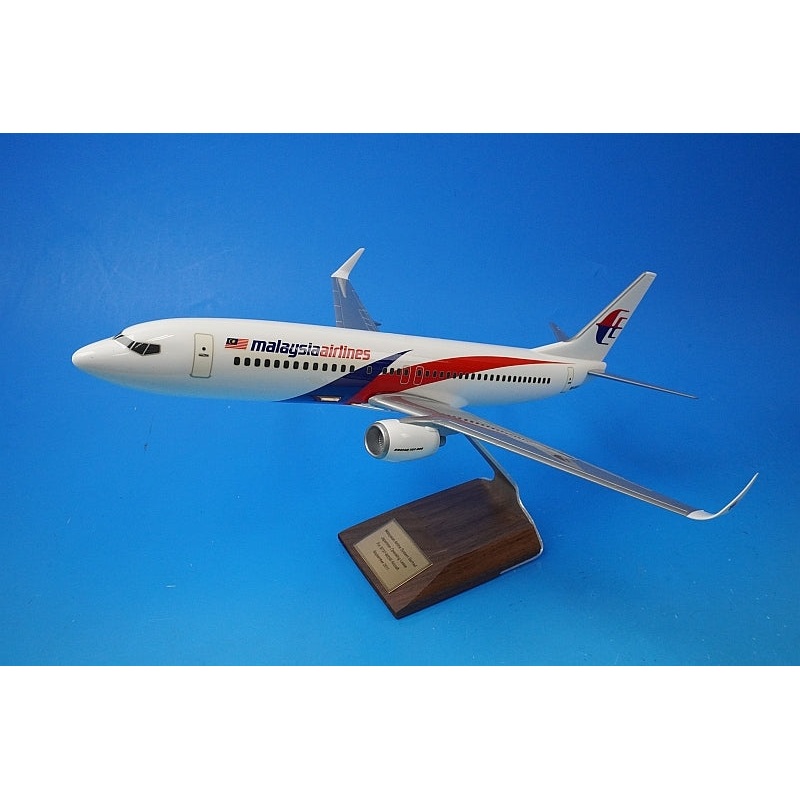 1:100 B737-800 Malaysia New Paint 9M-MXF PACMIN airplane model