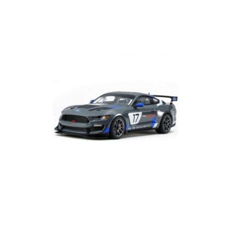 Tamiya Ford Mustang GT4