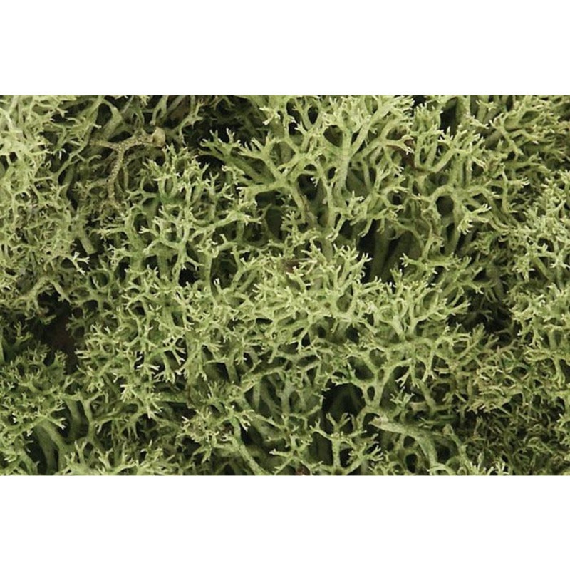 Woodland Scenics Lichen – Spring Green WOO161