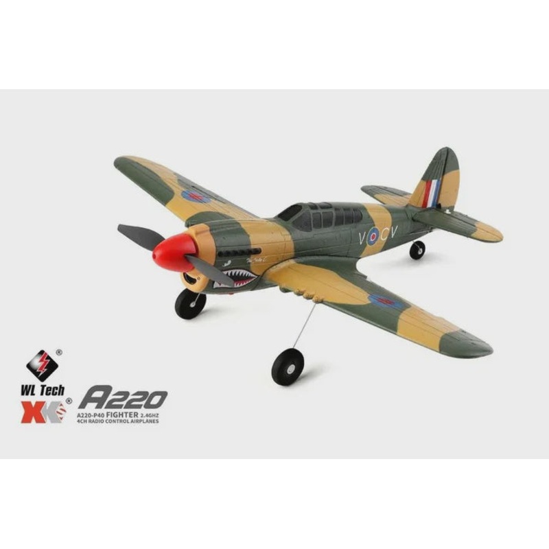 RC Pro 3D/6G P40 4ch airplane